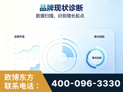 昌吉-品牌现状诊断